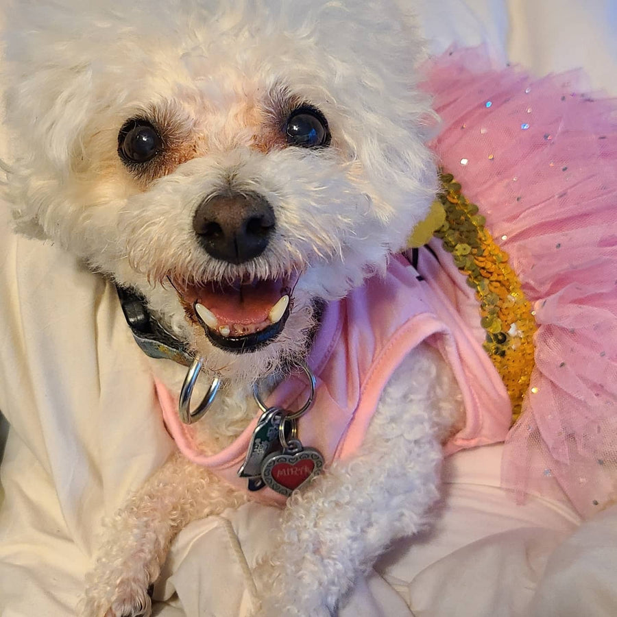 Crafting a Woolen Masterpiece: Mira's Portrait, A Pawsitively Adorable Tribute - Pawloom Studio